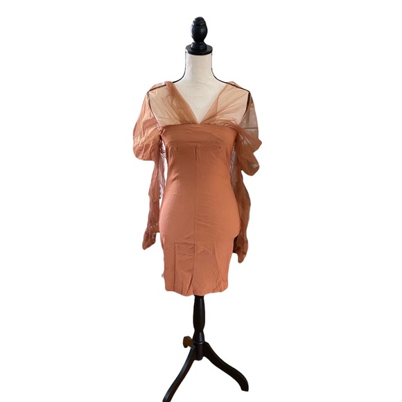 Sheer Ruched Sleeve Dress - Picture 3 of 4